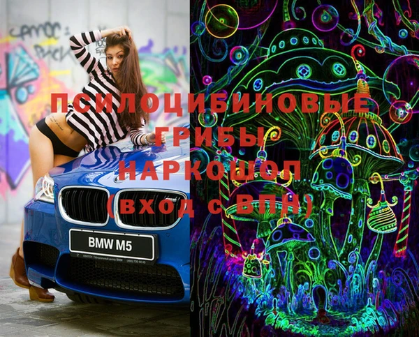 ГАЛЛЮЦИНОГЕННЫЕ ГРИБЫ Иннополис