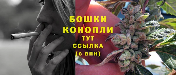 ECSTASY Каменка
