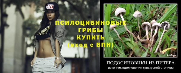 ГАЛЛЮЦИНОГЕННЫЕ ГРИБЫ Иннополис